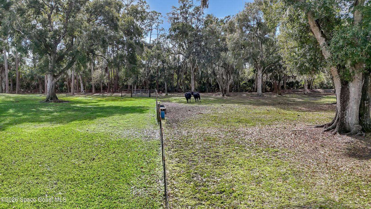 7080 Briar Oak Drive, Merritt Island, FL 32953 Photo