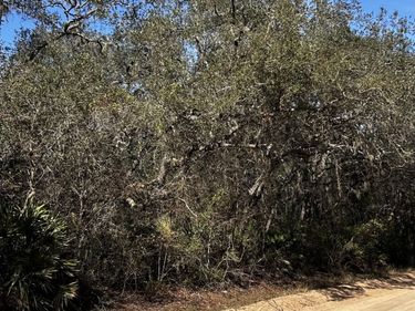 0 HALL LAKE Road, Keystone Heights, FL 32656