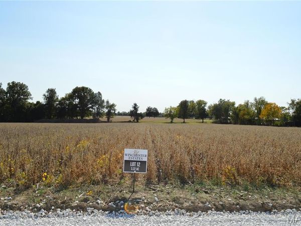 11300 Windsor Place Drive, Wright City, MO 63390