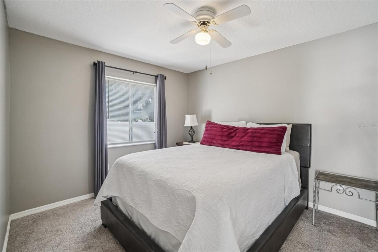 3132 Shoreline Drive, Clearwater, FL 33760 Photo