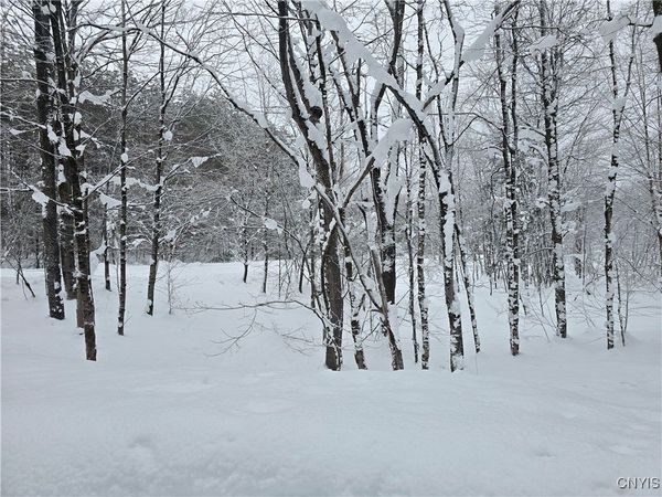 Swancott Mills Road, Taberg, NY 13471