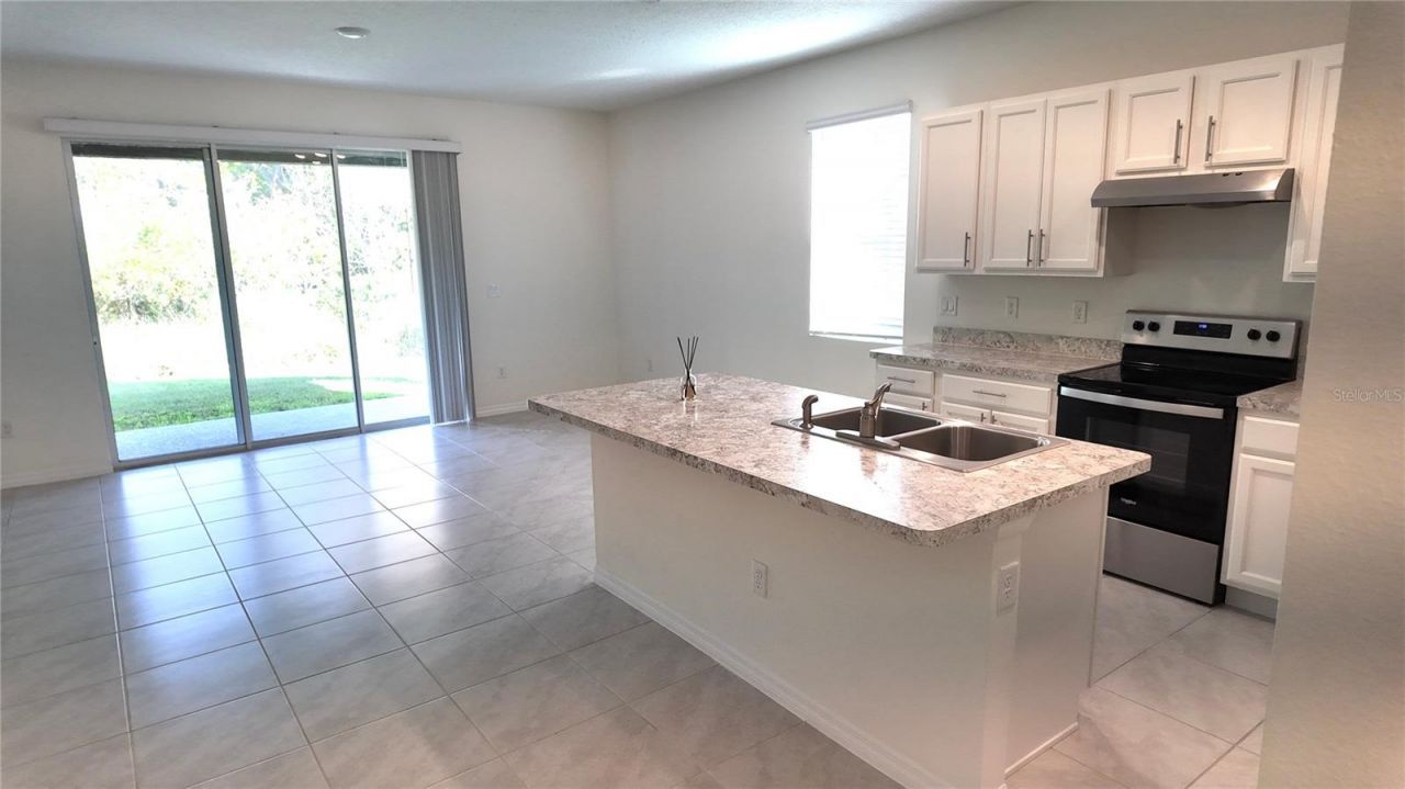 1241 Yellow Finch Drive, Davenport, FL 33837 Photo