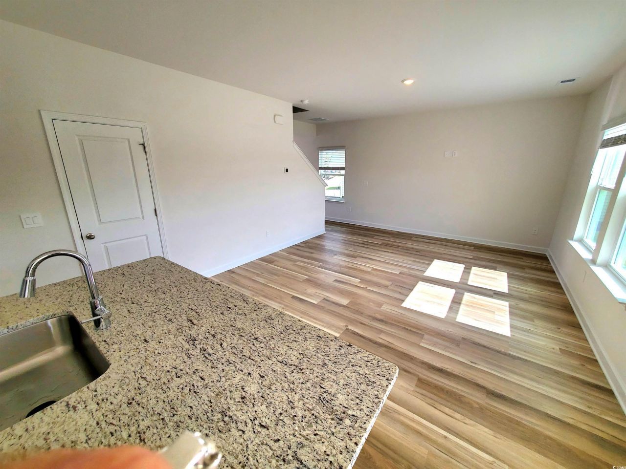 1542 Regal Fern Way Photo 12