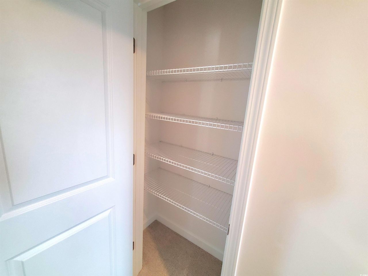 1542 Regal Fern Way Photo 31