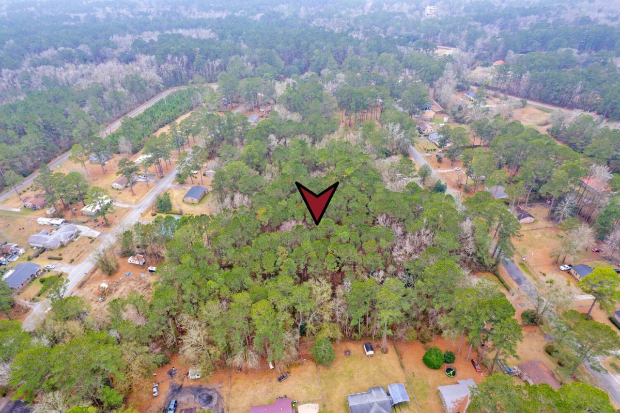 Lot 21 Gadsden Loop Photo 10