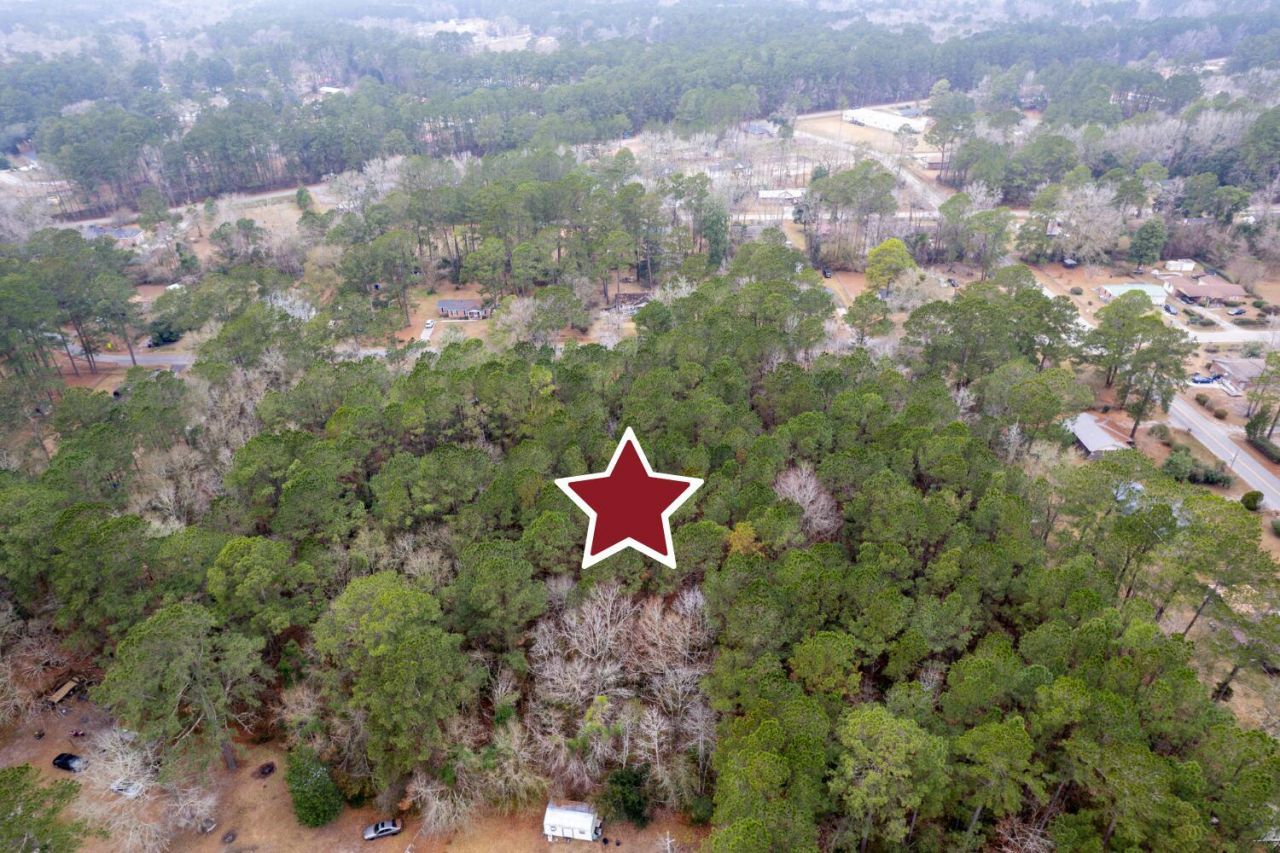 Lot 21 Gadsden Loop Photo 11
