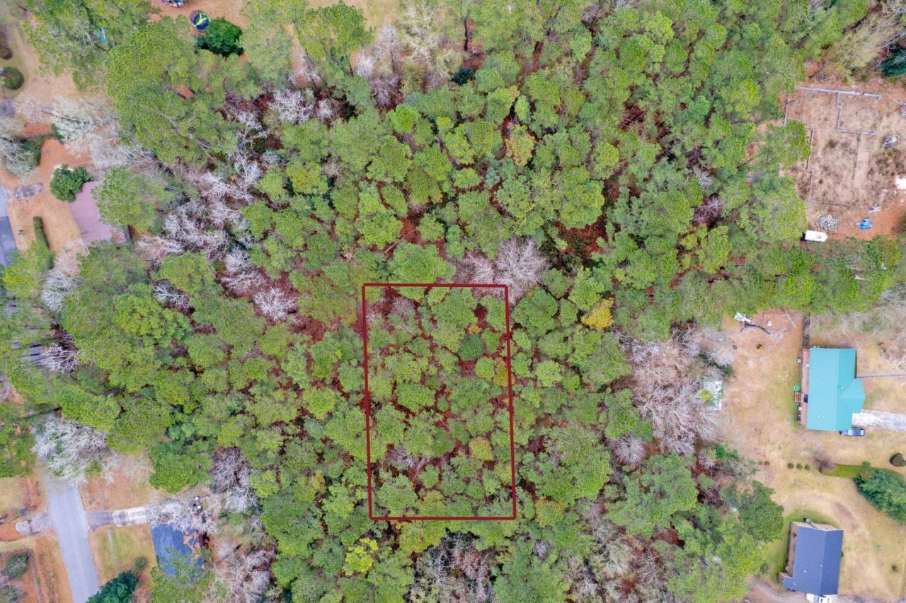 Lot 21 Gadsden Loop Photo 12