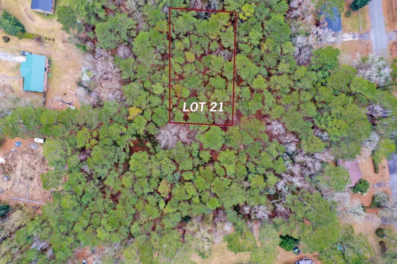 Lot 21 Gadsden Loop Photo 13