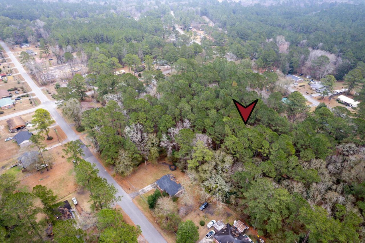 Lot 21 Gadsden Loop Photo 6