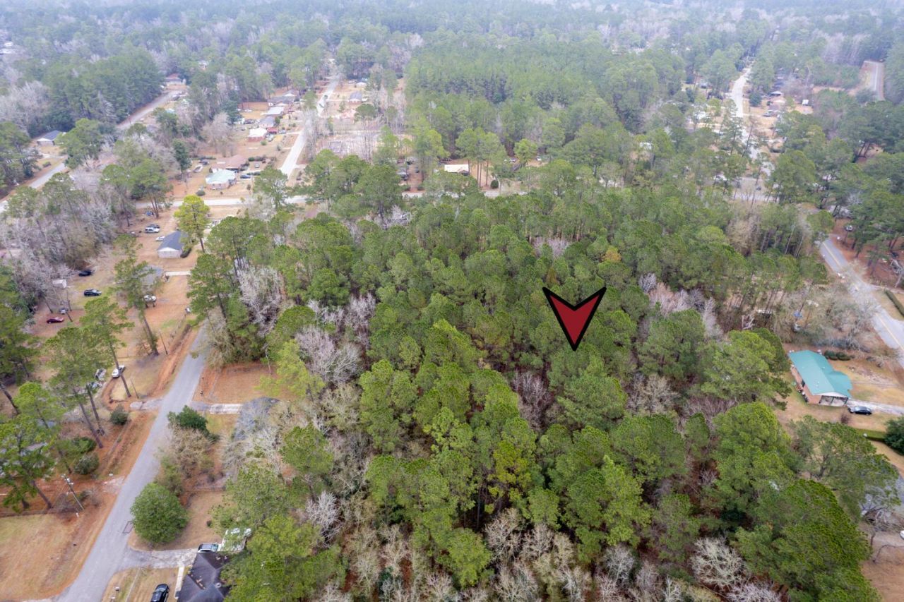 Lot 21 Gadsden Loop Photo 7