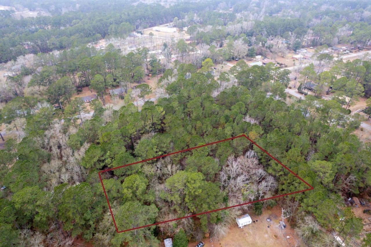 Lot 22 Gadsden Loop Photo 10