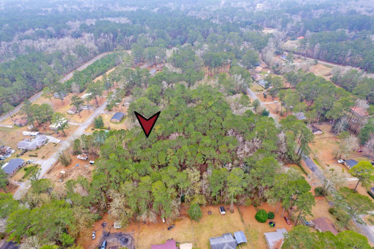 Lot 22 Gadsden Loop Photo 11