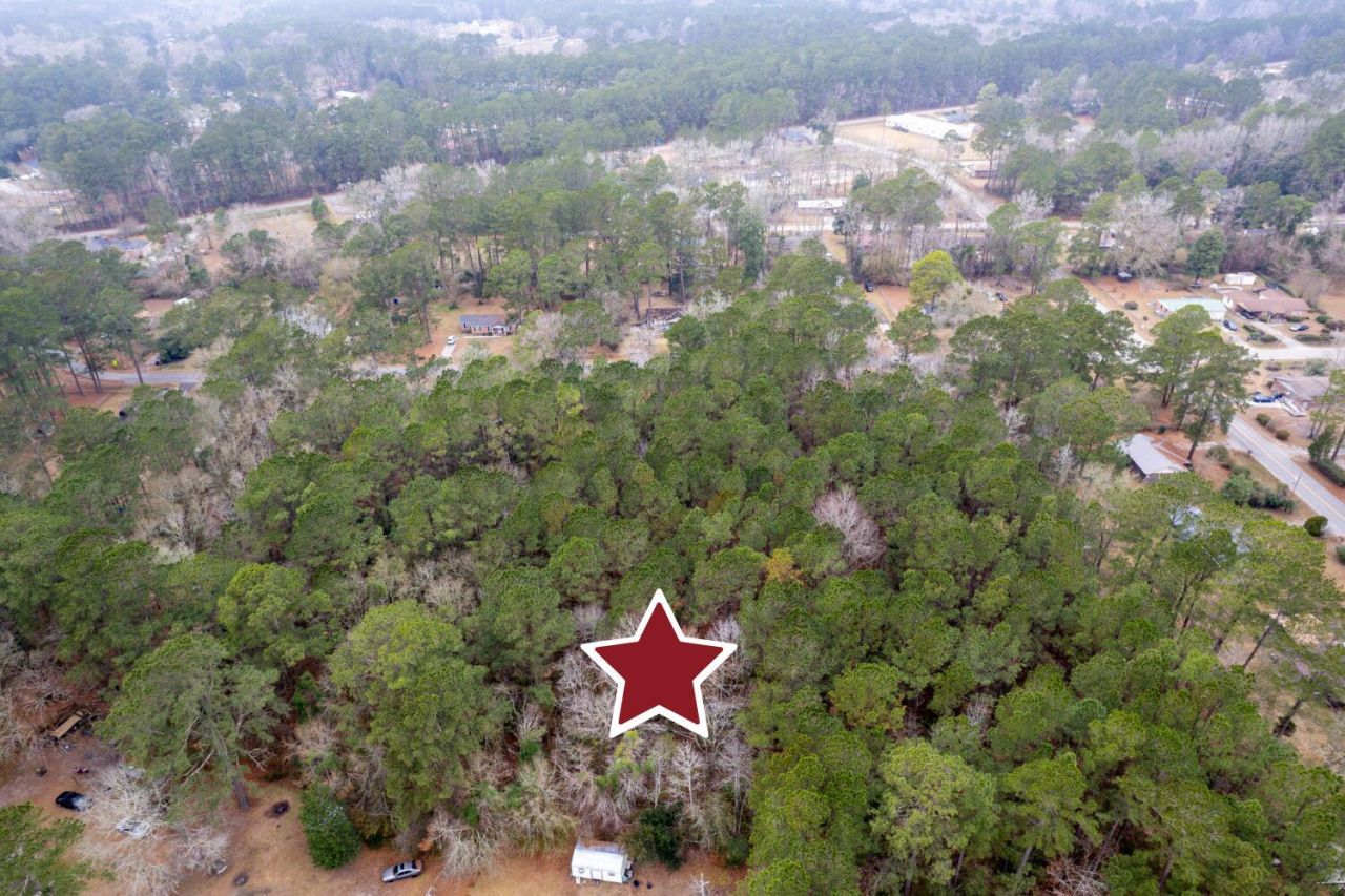 Lot 22 Gadsden Loop Photo 12