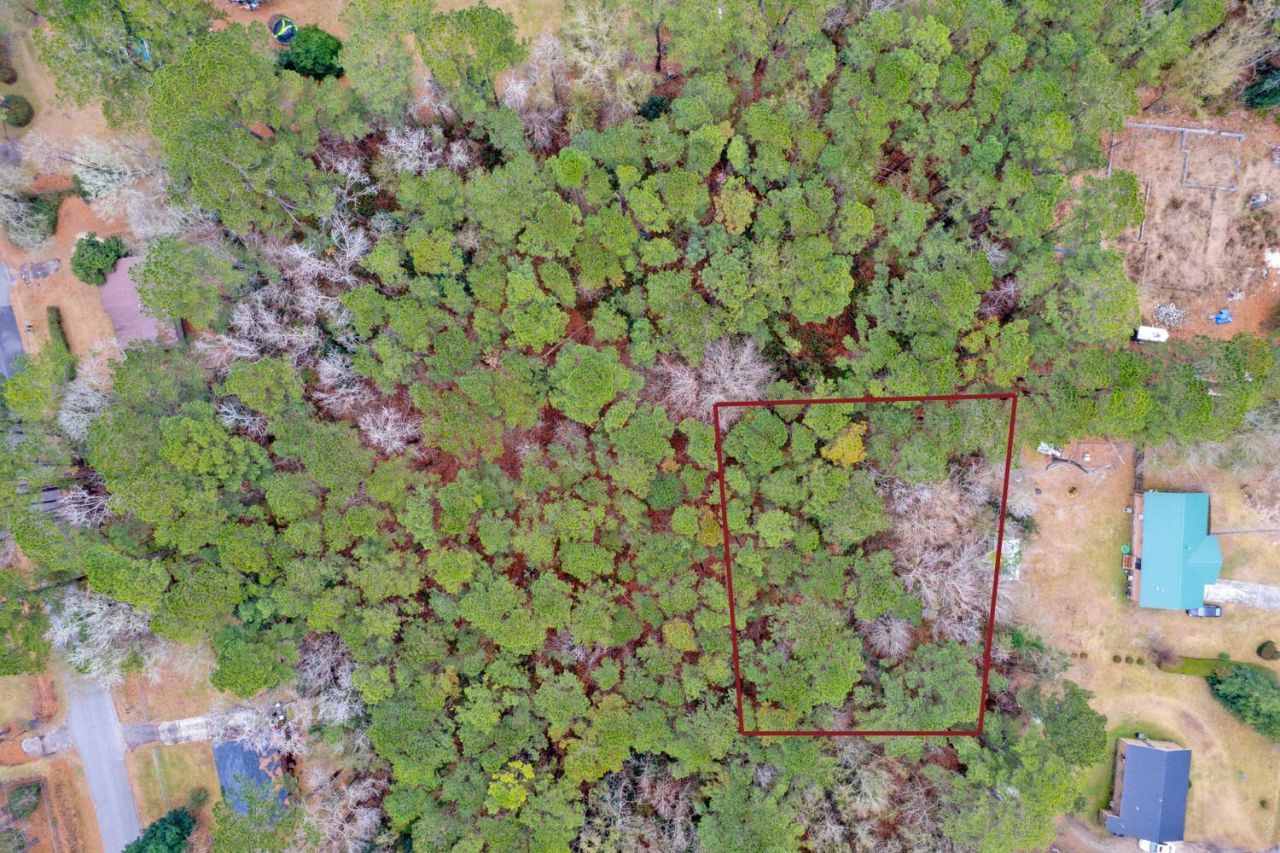 Lot 22 Gadsden Loop Photo 13