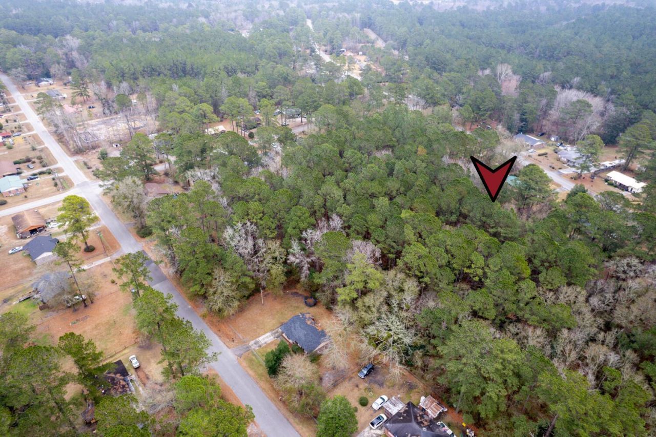 Lot 22 Gadsden Loop Photo 7