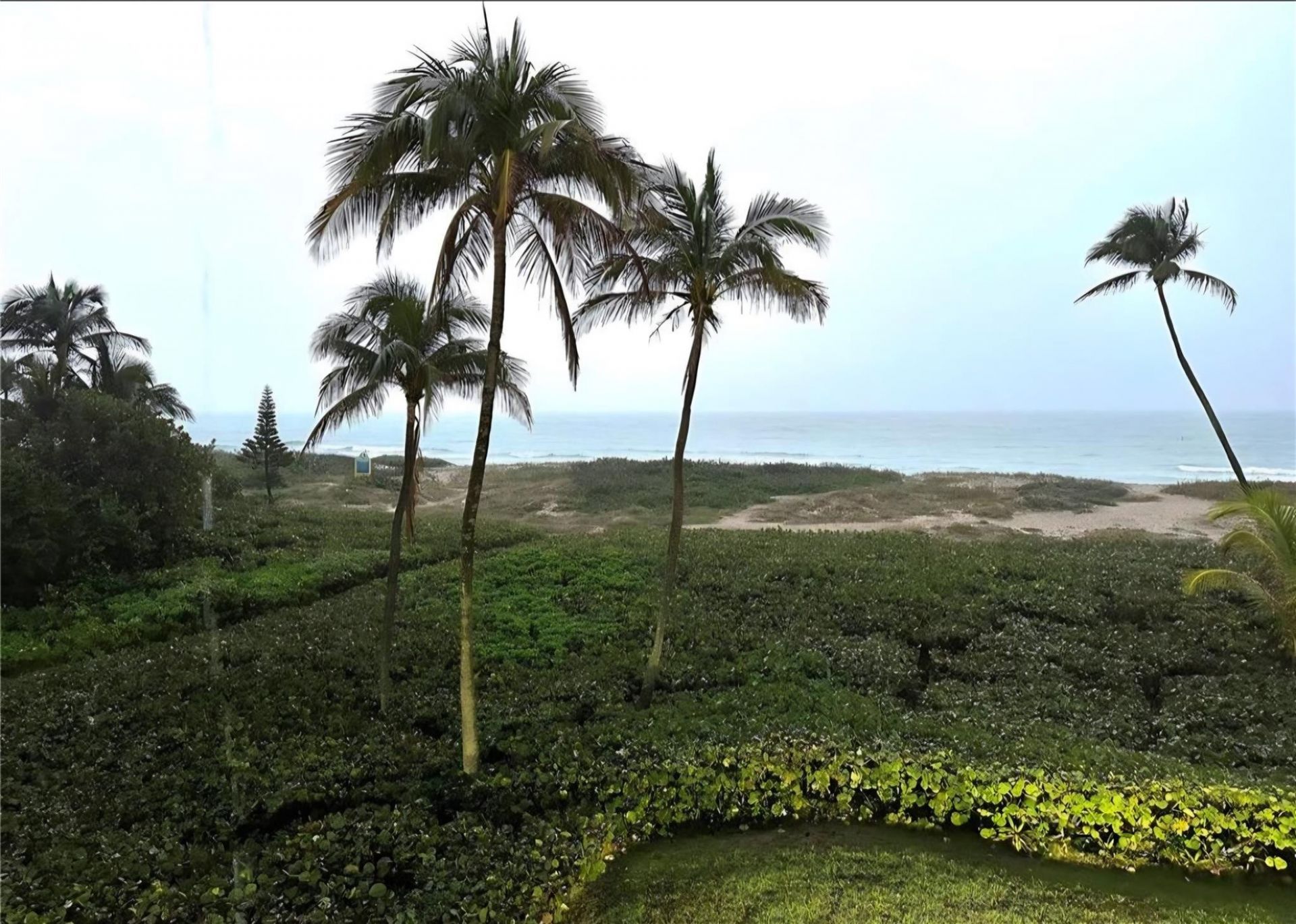 1920 51st Court, Unit 101, Fort Lauderdale, FL 33308 Photo