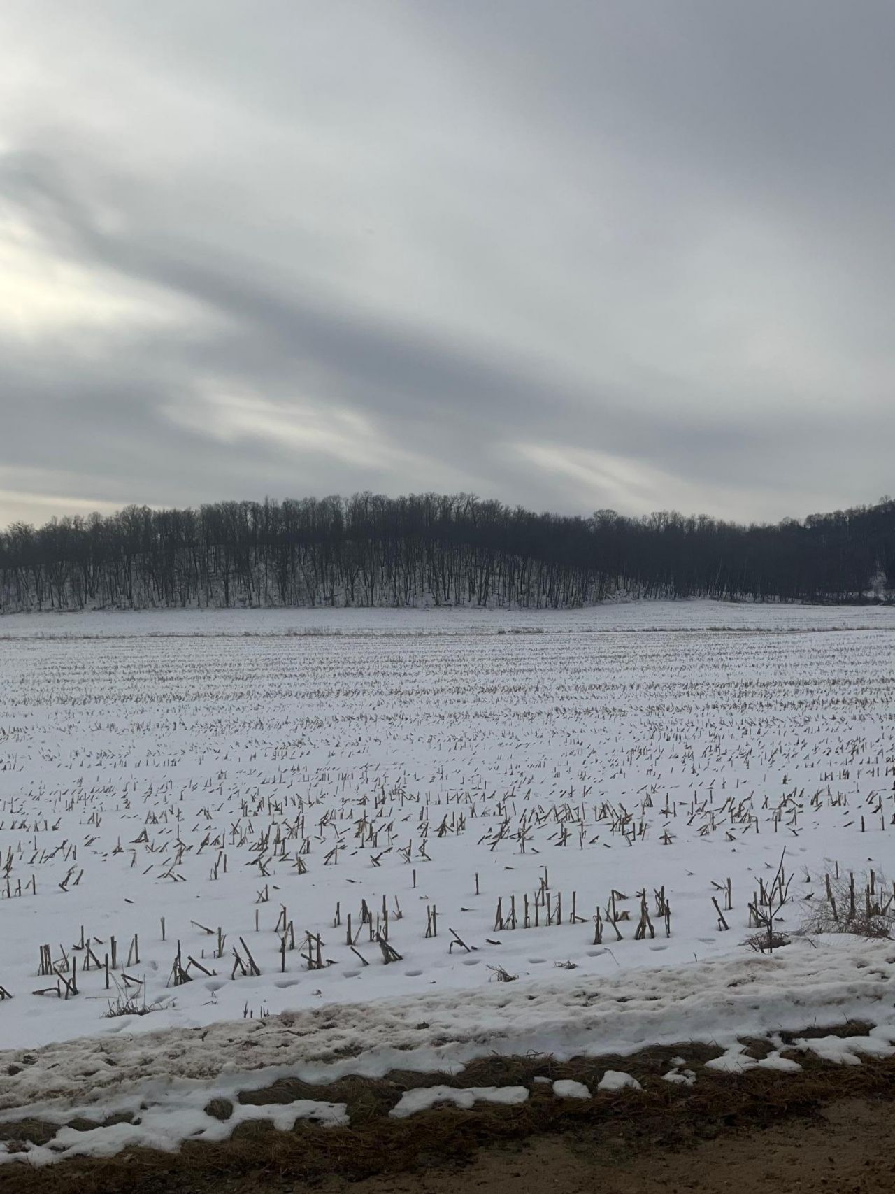 TBD Back Valley Road, Pepin, WI 54759