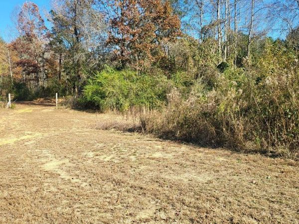 00 Co Rd 59, Nauvoo, AL