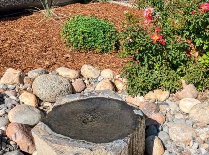 2395 Watt Street, Reno, NV 89509 Photo