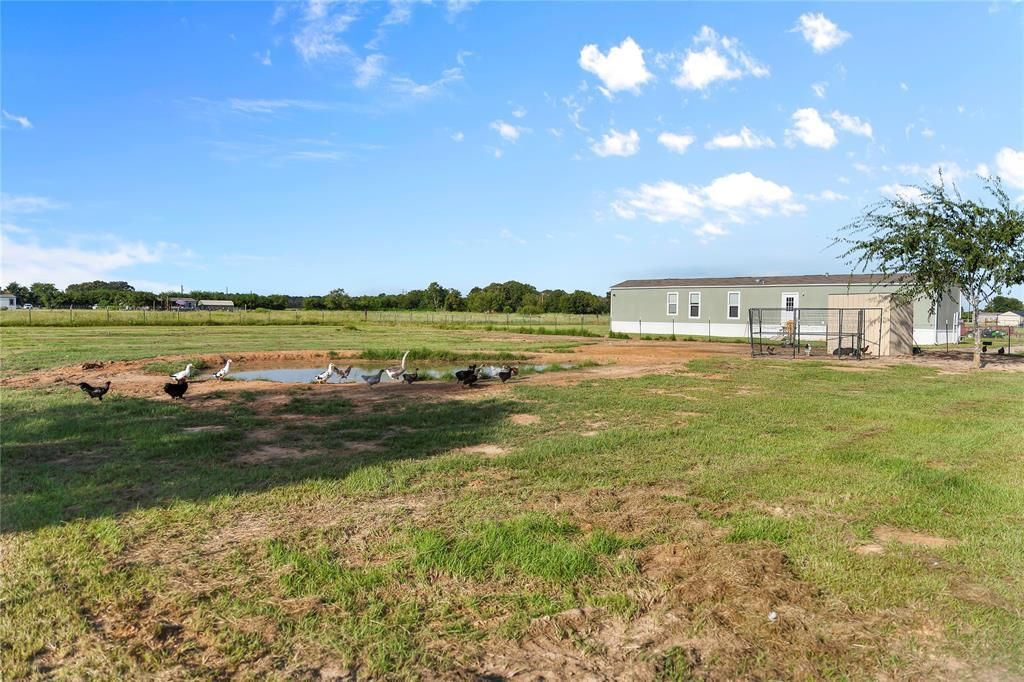 11757 County Road 2429, Kemp, TX 75143 Main Photo