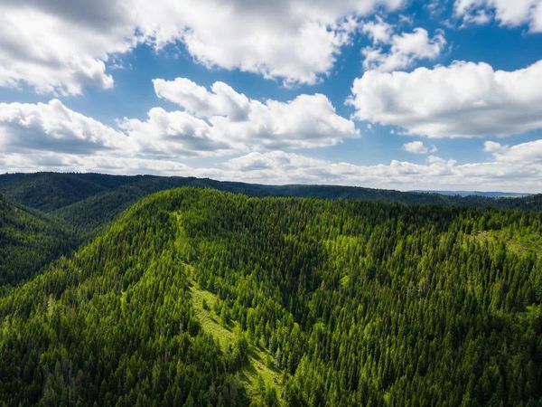 30 Acres on Biscuit Ridge Rdg, Other, WA 99361