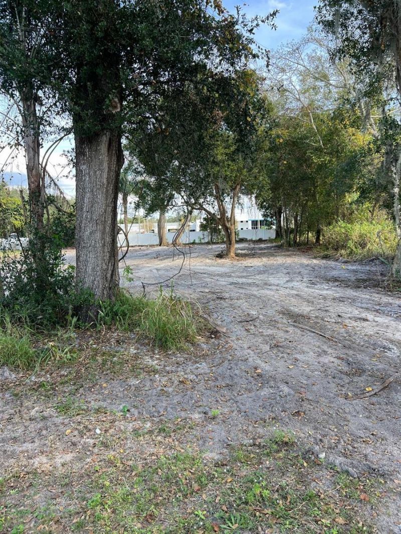 1215 Crawford Avenue, Saint Cloud, FL 34769 Photo