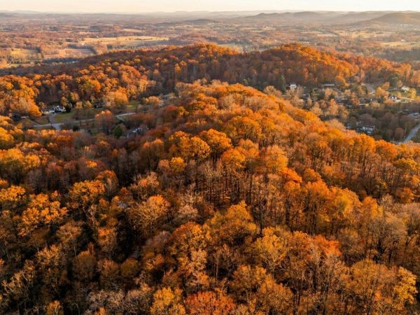 218 Forest Ridge Ct , Franklin, TN 37069