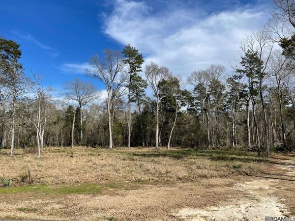 Lot 9 Ridgeway Ave, Denham Springs, LA 70726