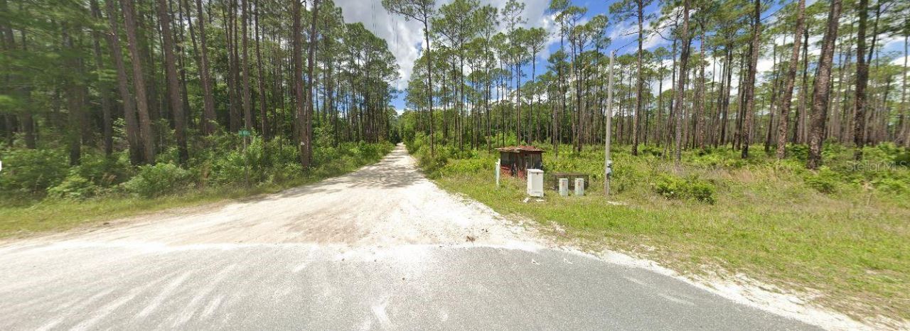 Lil Dixie Drive, Sanderson, FL 32087 Photo