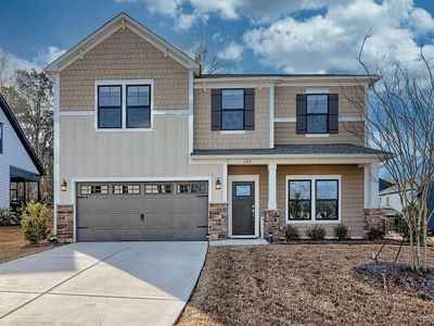 157 Collins Cove Drive , Chapin, SC 29036