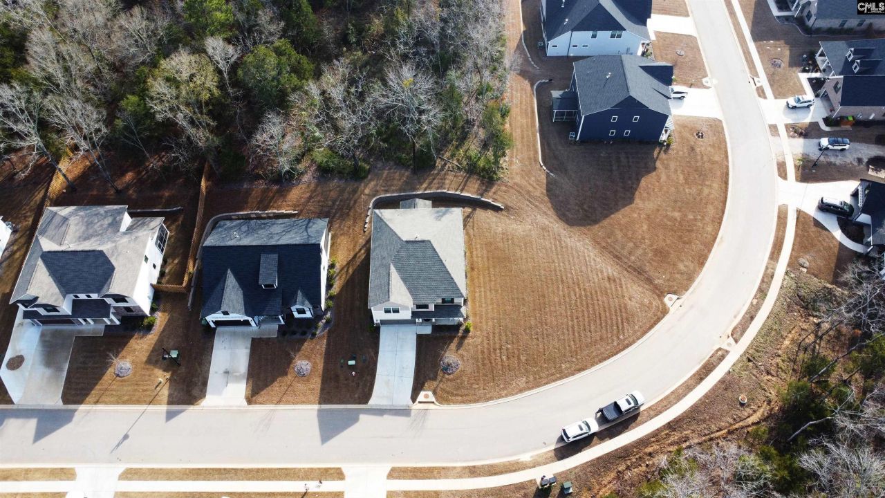 157 Collins Cove Drive  Photo 4