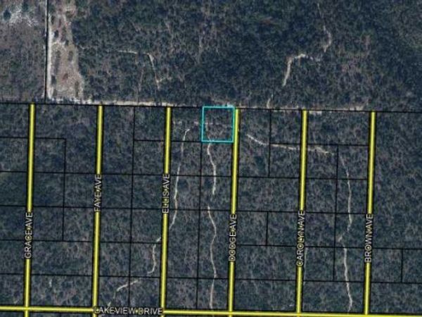 HIGHWAY 20, YOUNGSTOWN, FL 32466