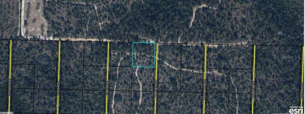 Highway 20, Youngstown, FL 32466 Photo