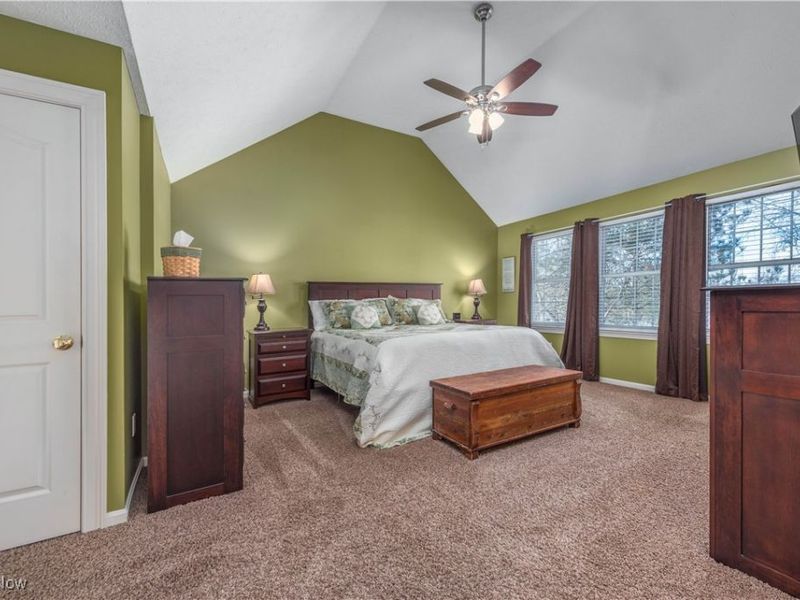 4528 Secretariat Court, Avon, OH 44011 Photo 21