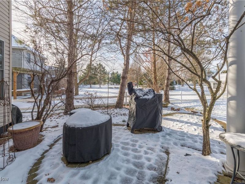 4528 Secretariat Court, Avon, OH 44011 Photo 48