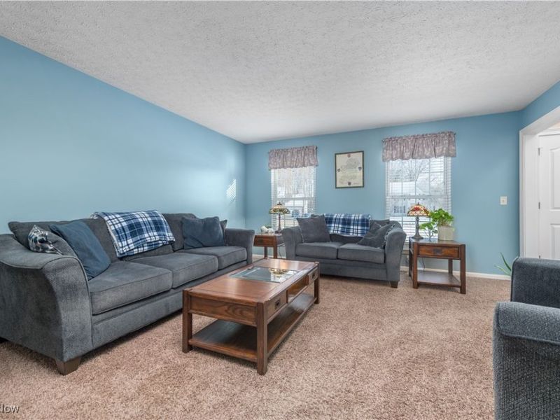 4528 Secretariat Court, Avon, OH 44011 Photo 7