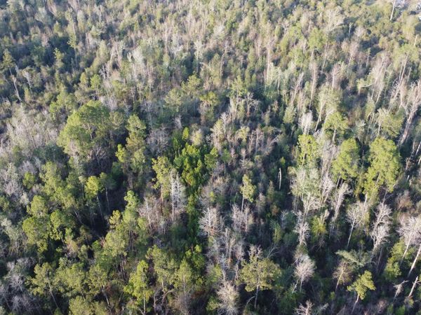 S County Line Road, Columbia, MS 39429