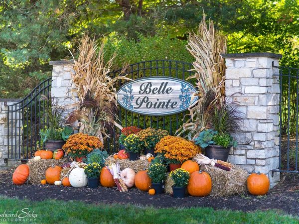 9404 Emily Lane, Union, IL 60180