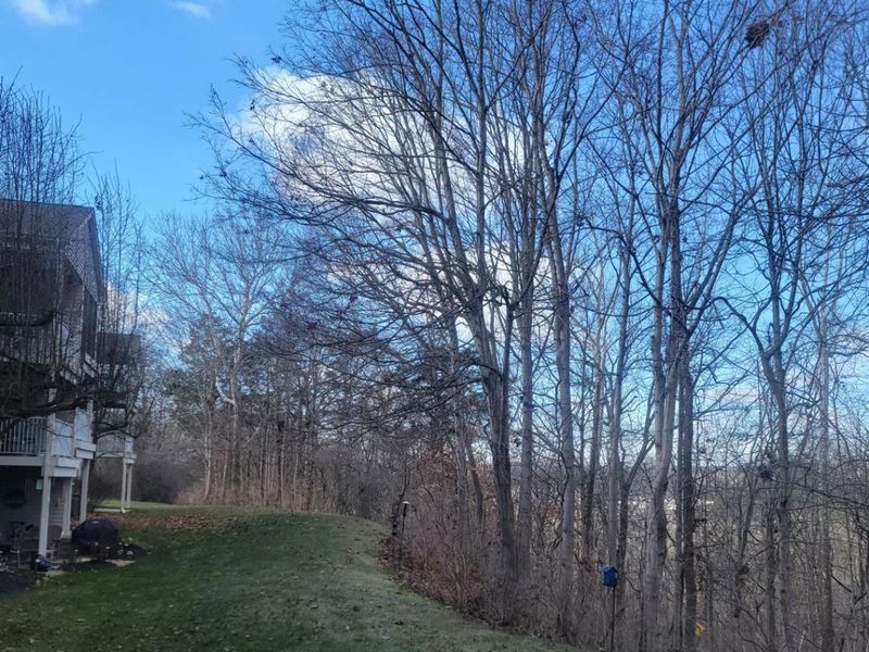 100 Gateway Drive, Unit L, Milford, OH 45150 Photo 11