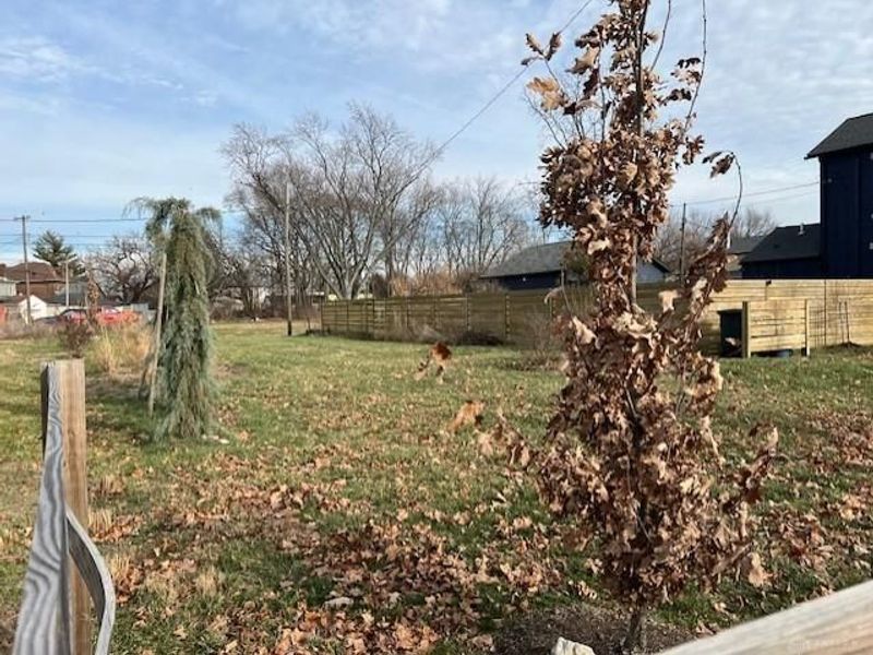 34 Pulaski Street, Dayton, OH 45402 Photo 3