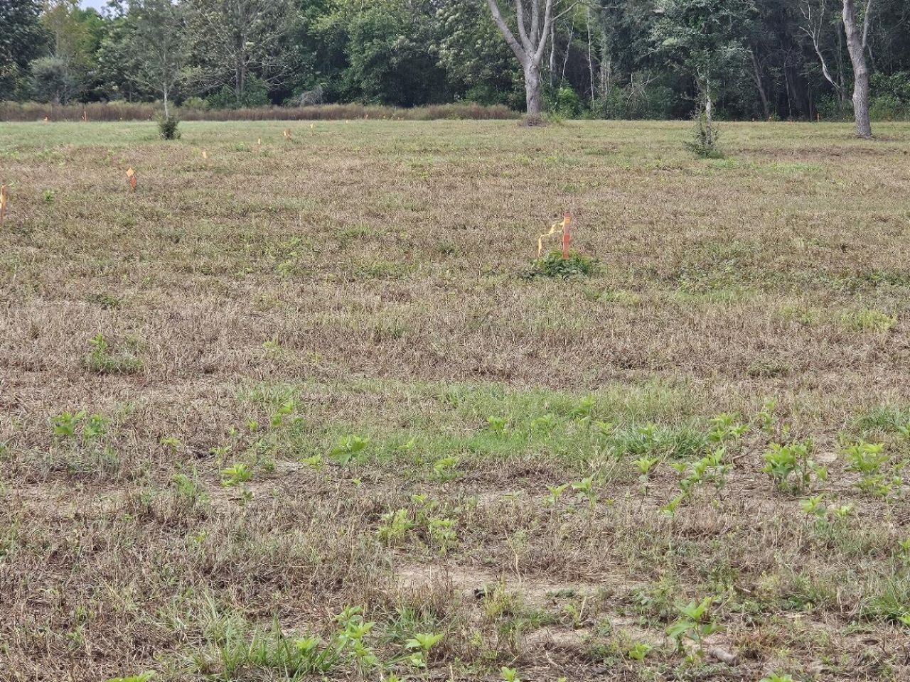 00 Tee Vee Road Photo 10