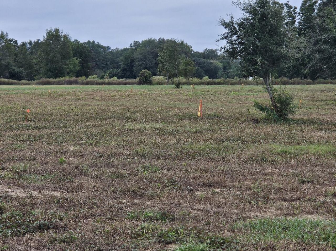 00 Tee Vee Road Photo 11