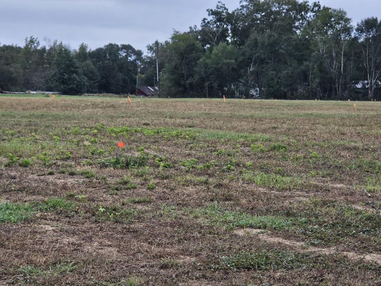 00 Tee Vee Road Photo 13