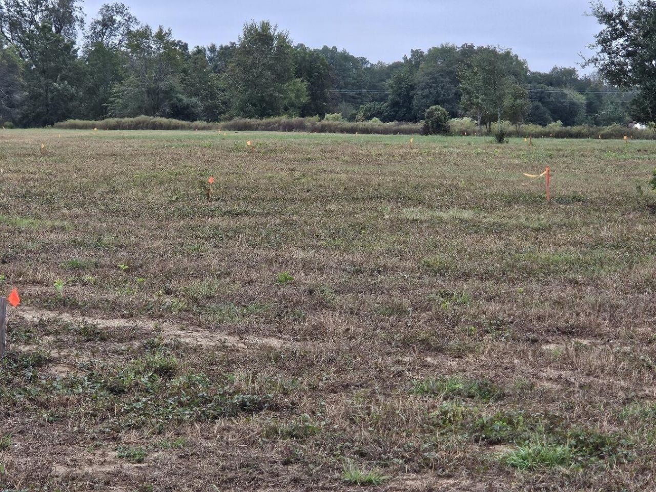 00 Tee Vee Road Photo 14