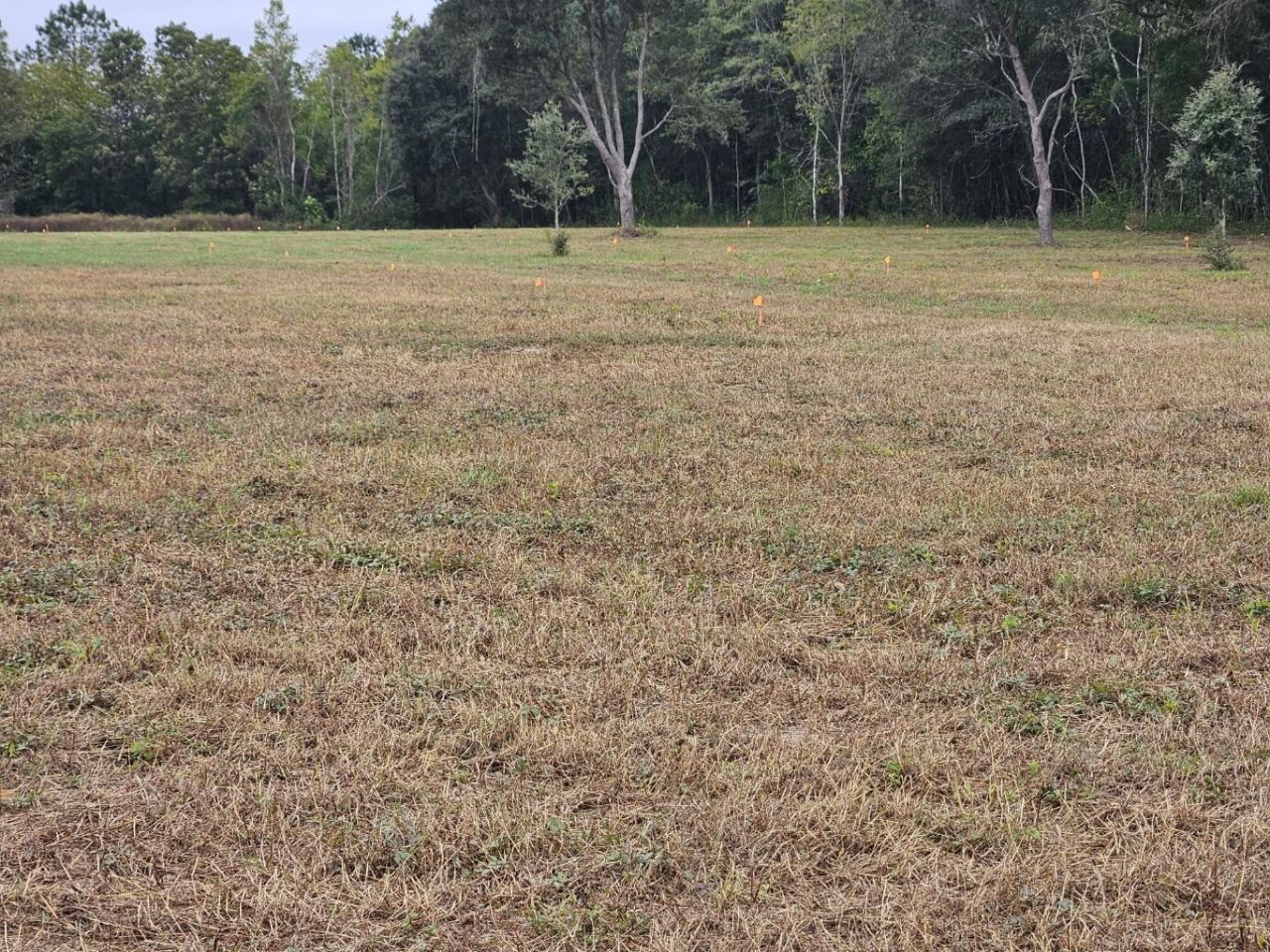 00 Tee Vee Road Photo 4