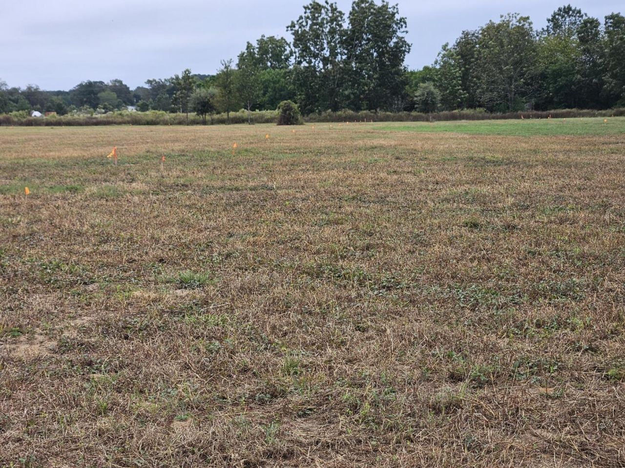 00 Tee Vee Road Photo 5