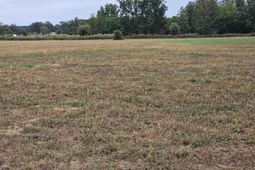 00 Tee Vee Road photo 4