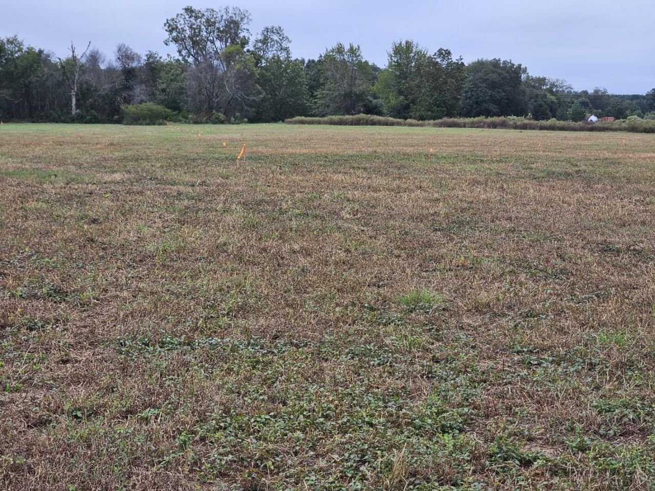 00 Tee Vee Road Photo 7