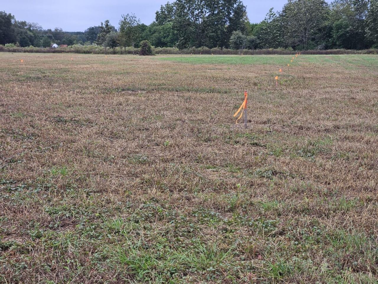 00 Tee Vee Road Photo 8