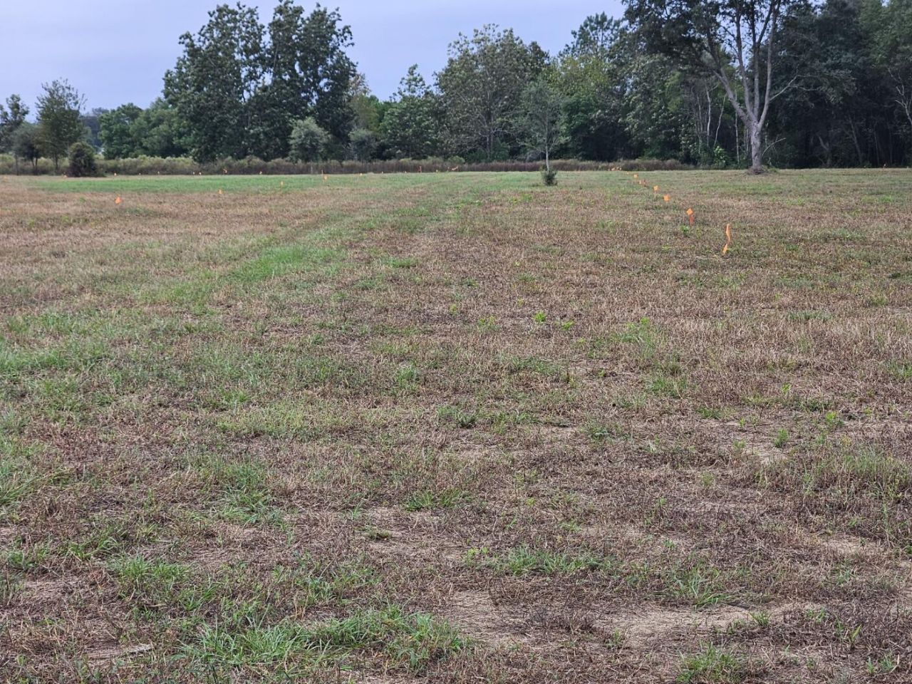 00 Tee Vee Road Photo 9